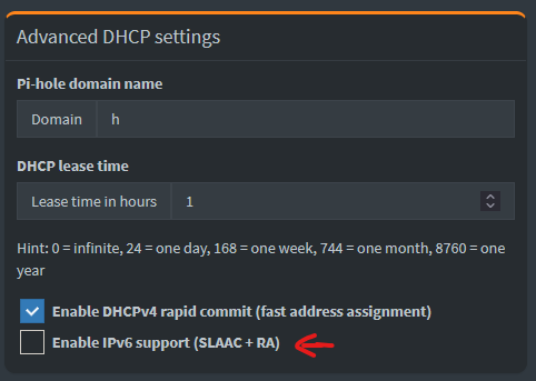 pi-hole-advanced-dhcp-settings.png